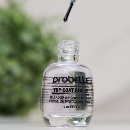 Long lasting results premium top coat sealer for Indian online shoppers beauty care
