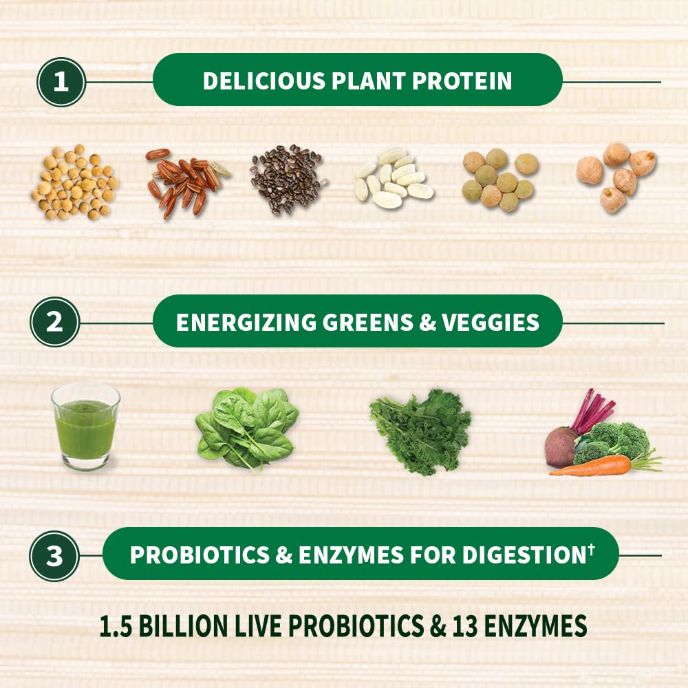 High protein plant based powder with 20g organic pea protein per serving