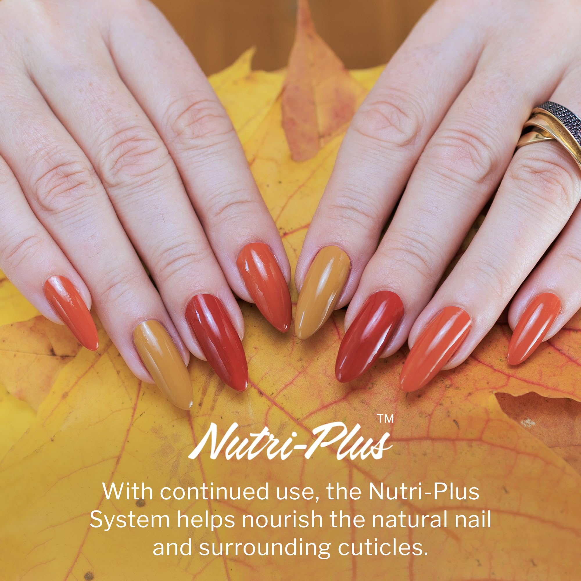 SNS Nails professional dip powder collection branding