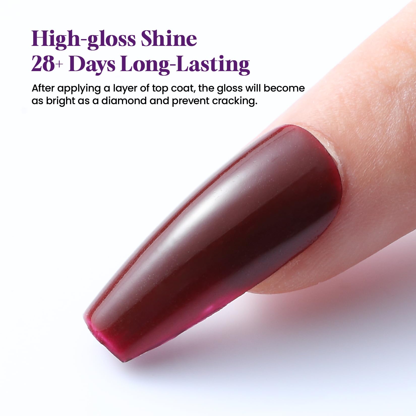 Vansisos professional starter kit bottles including high shine top coat and brush saver.