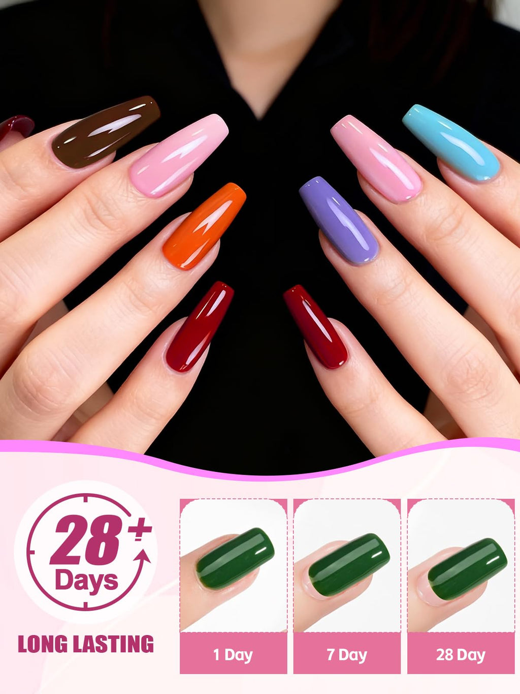 Complete view of the professional Ebanku nail art and extension set
