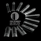 C12rtive poly nail gel molds showing twelve numbered sizes