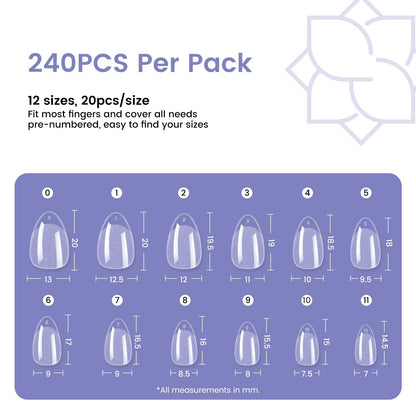 Storage box layout of 12 sizes of Wilfniee nail tips
