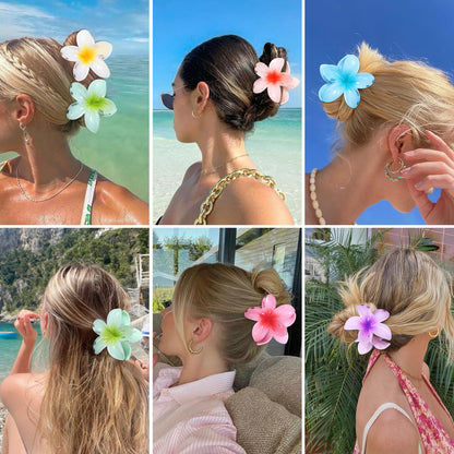 Durable lightweight plastic tropical hair claw clips set in six assorted gradient shades