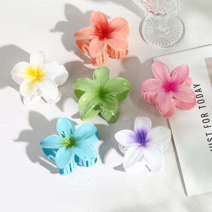 Top view of Dogode neutral hair claw clips set