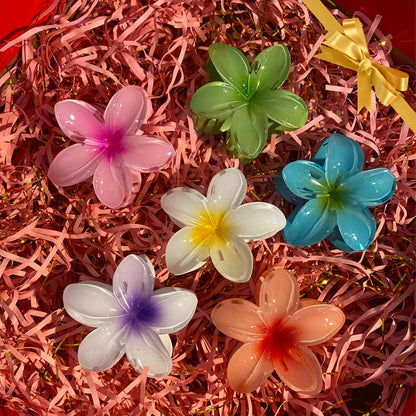 Professional collection of 12 piece Dogode hair accessory set