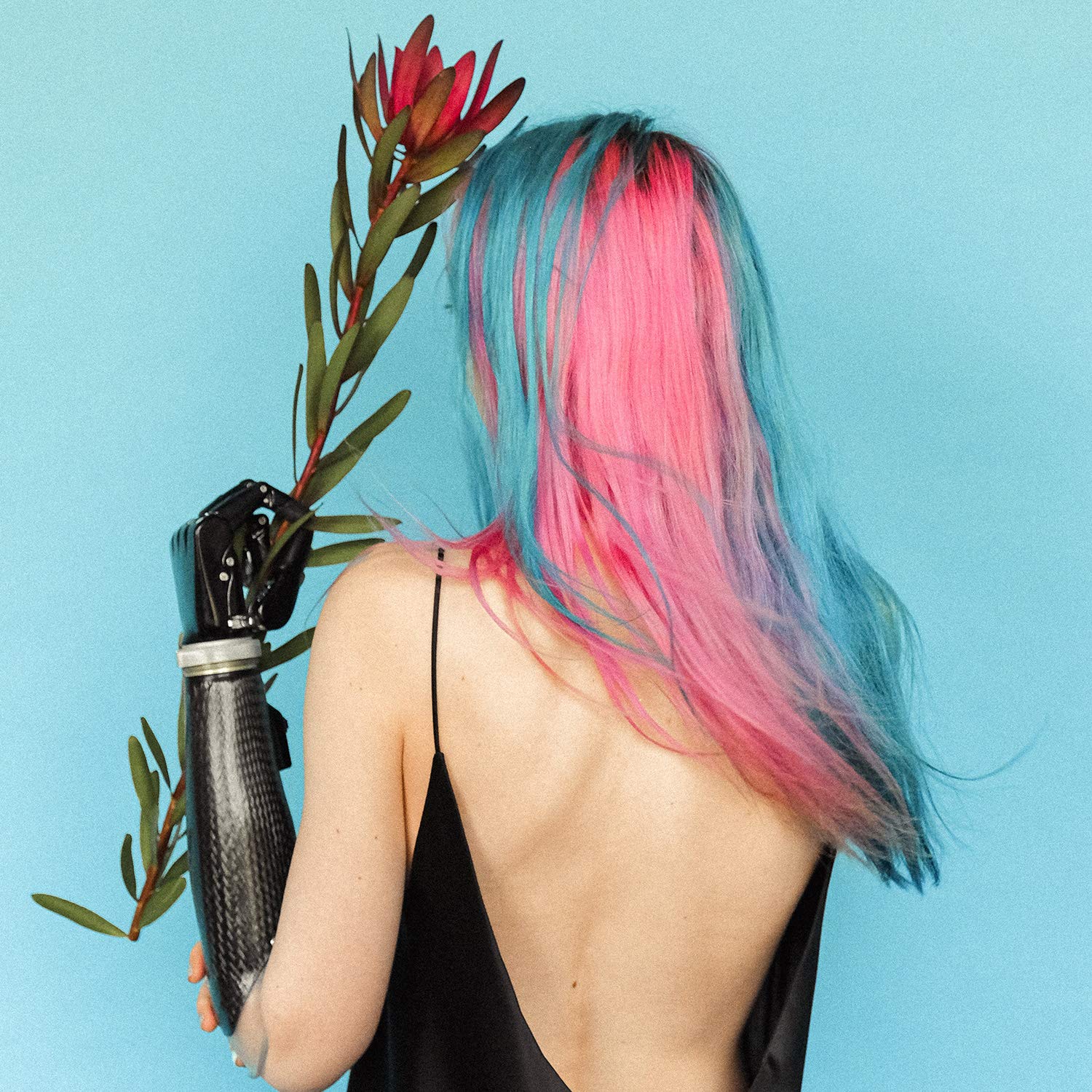 Professional hair coloring setup with Willbond cap kit