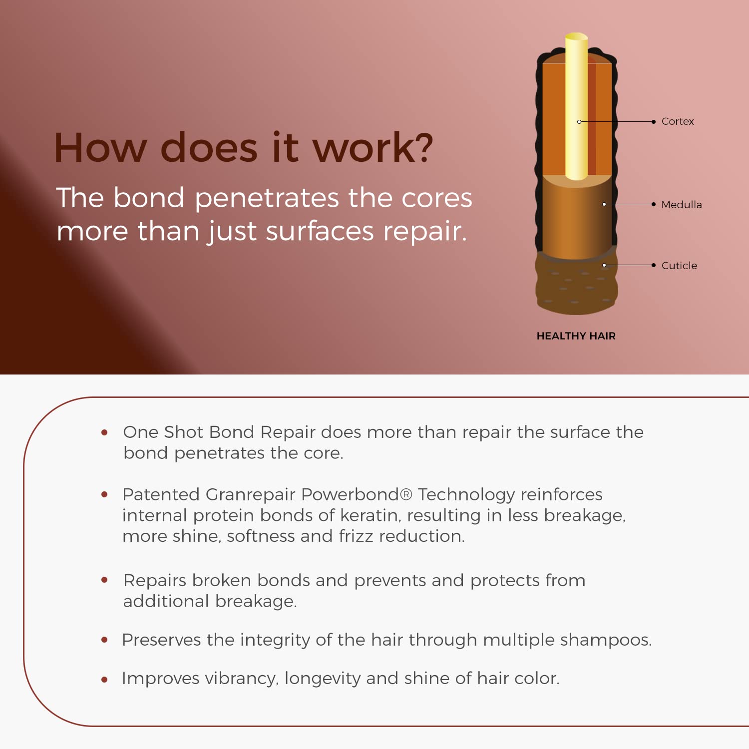 Back label view of One 'n Only One Shot Bond Repair showing usage directions