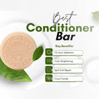BIORR vegan solid conditioner bar with pomegranate extract for color-treated hair