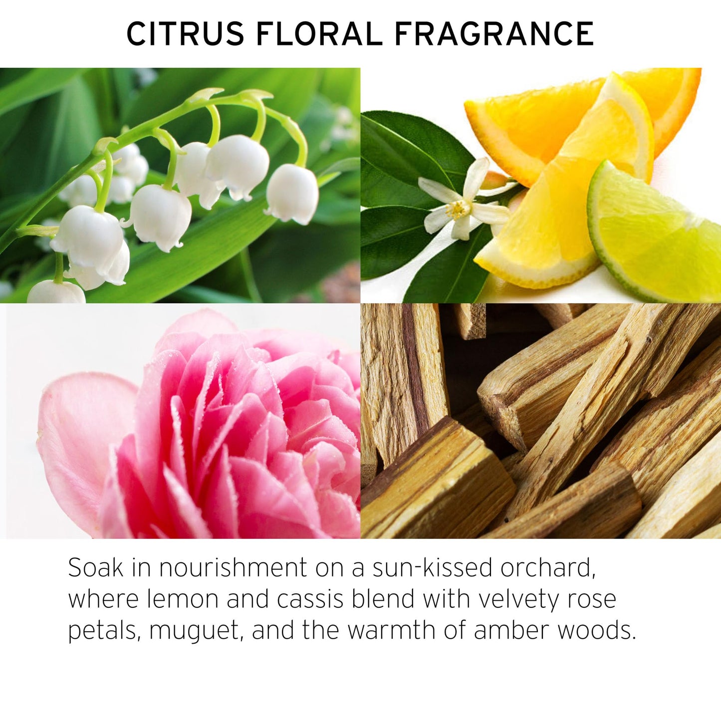 Fekkai vegan and cruelty free moisturizing color care conditioner bottle