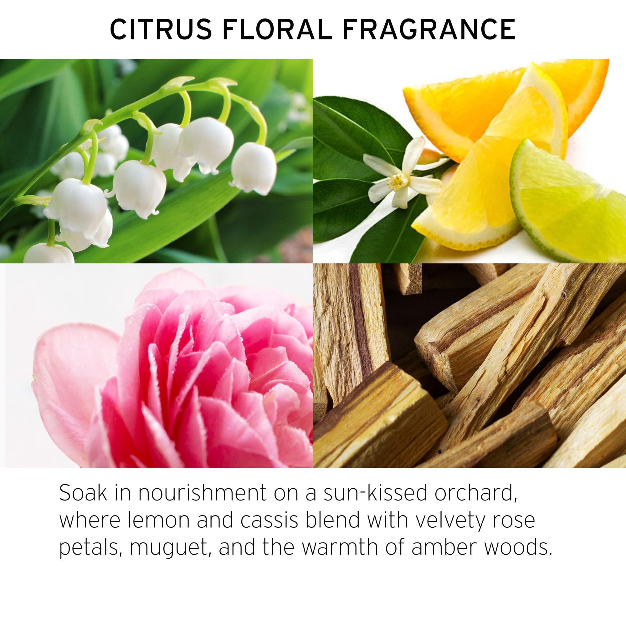 Fekkai vegan and cruelty free moisturizing color care conditioner bottle
