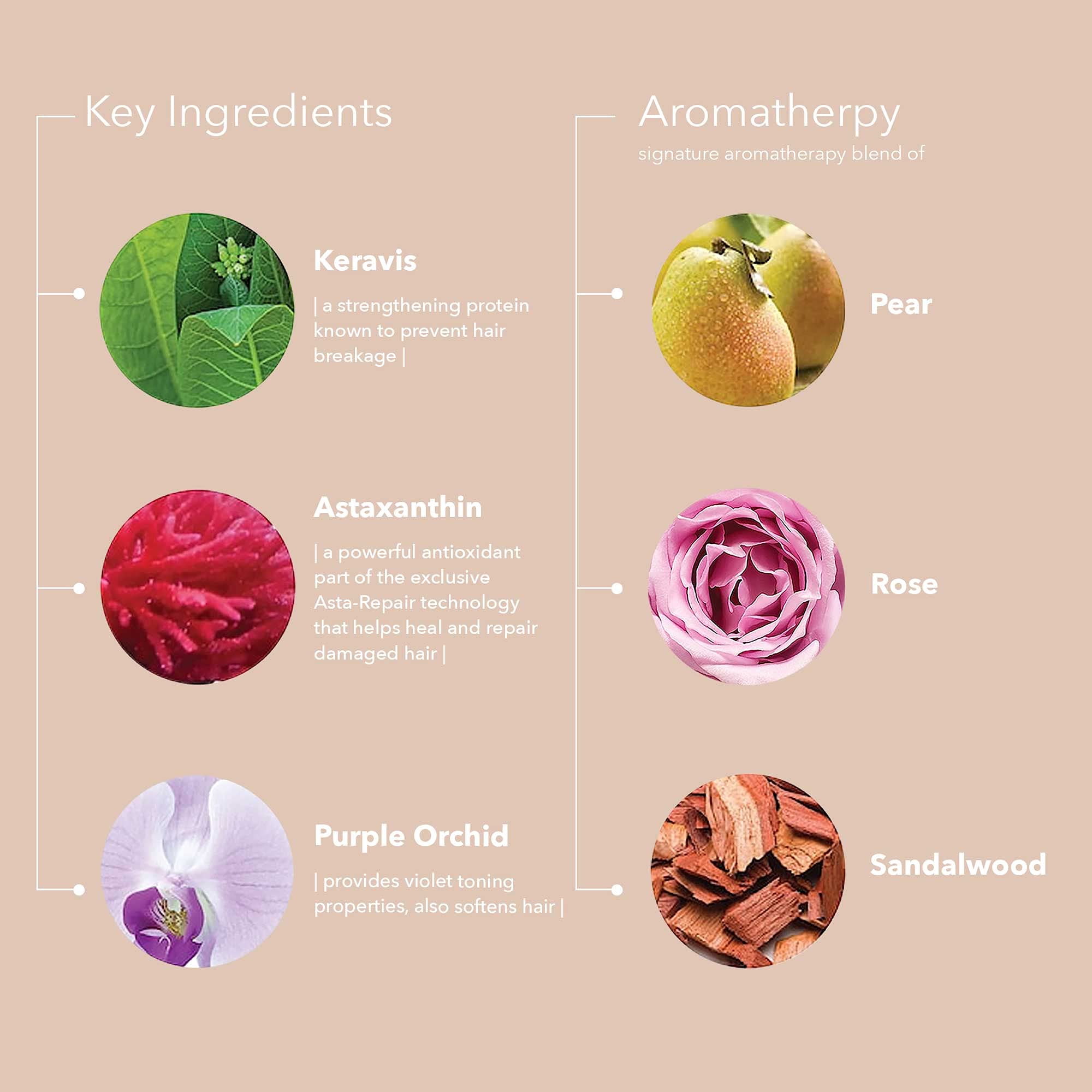 Pureology sulfate free vegan purple conditioner close up packaging detail