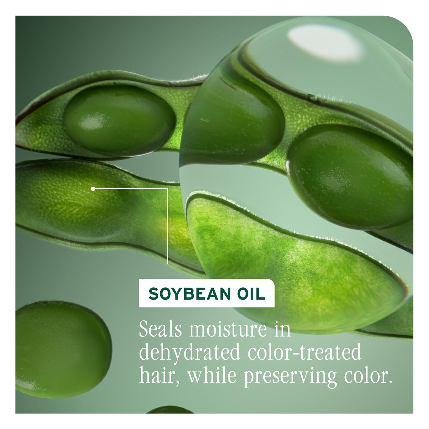 Authentic Biolage orchid extract conditioner for maintaining hair shine