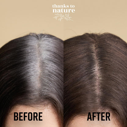 Compact three gram tube of Thanks To Nature grey hair coverage stick.