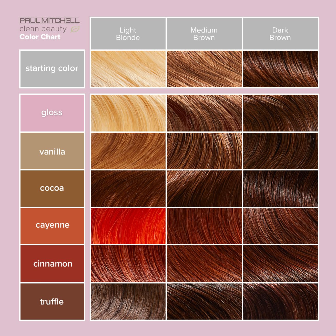 Back view of Paul Mitchell Clean Beauty color refreshing mask