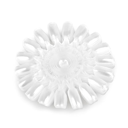 Transparent acrylic nail display wheels for color swatching