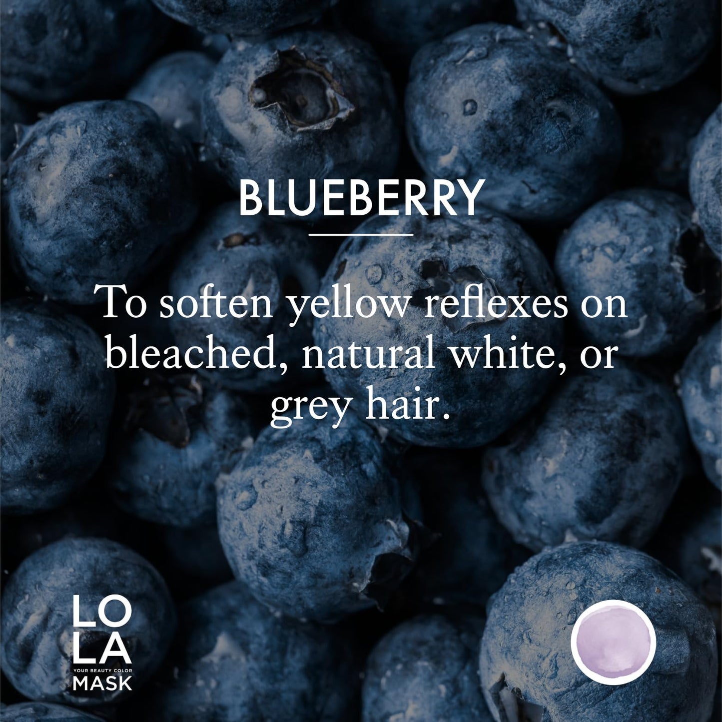 Artego Lola mask Blueberry shade hair transformation