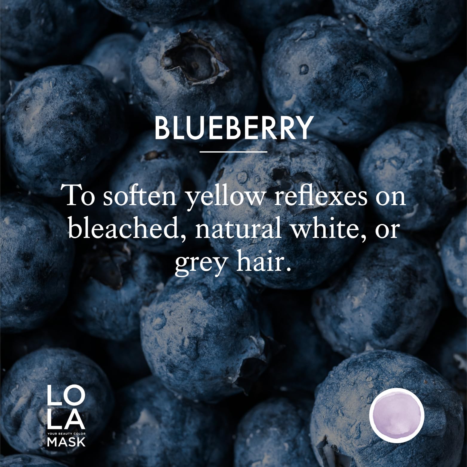 Artego Lola mask Blueberry shade hair transformation