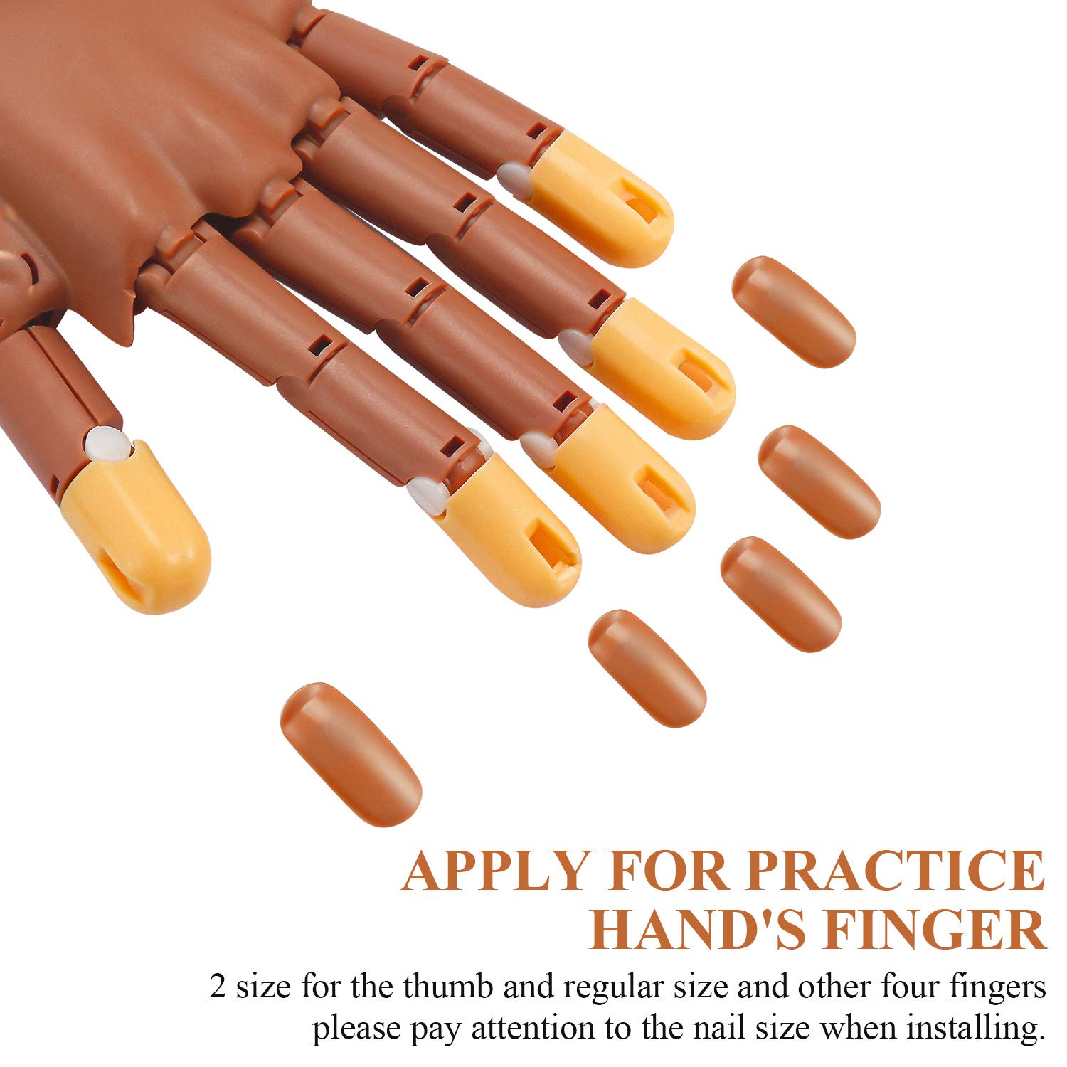 Blulu replacement nail tips showing thumb and finger sizes