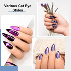 Canipha 4 in 1 nail magnet stick set in retail packaging