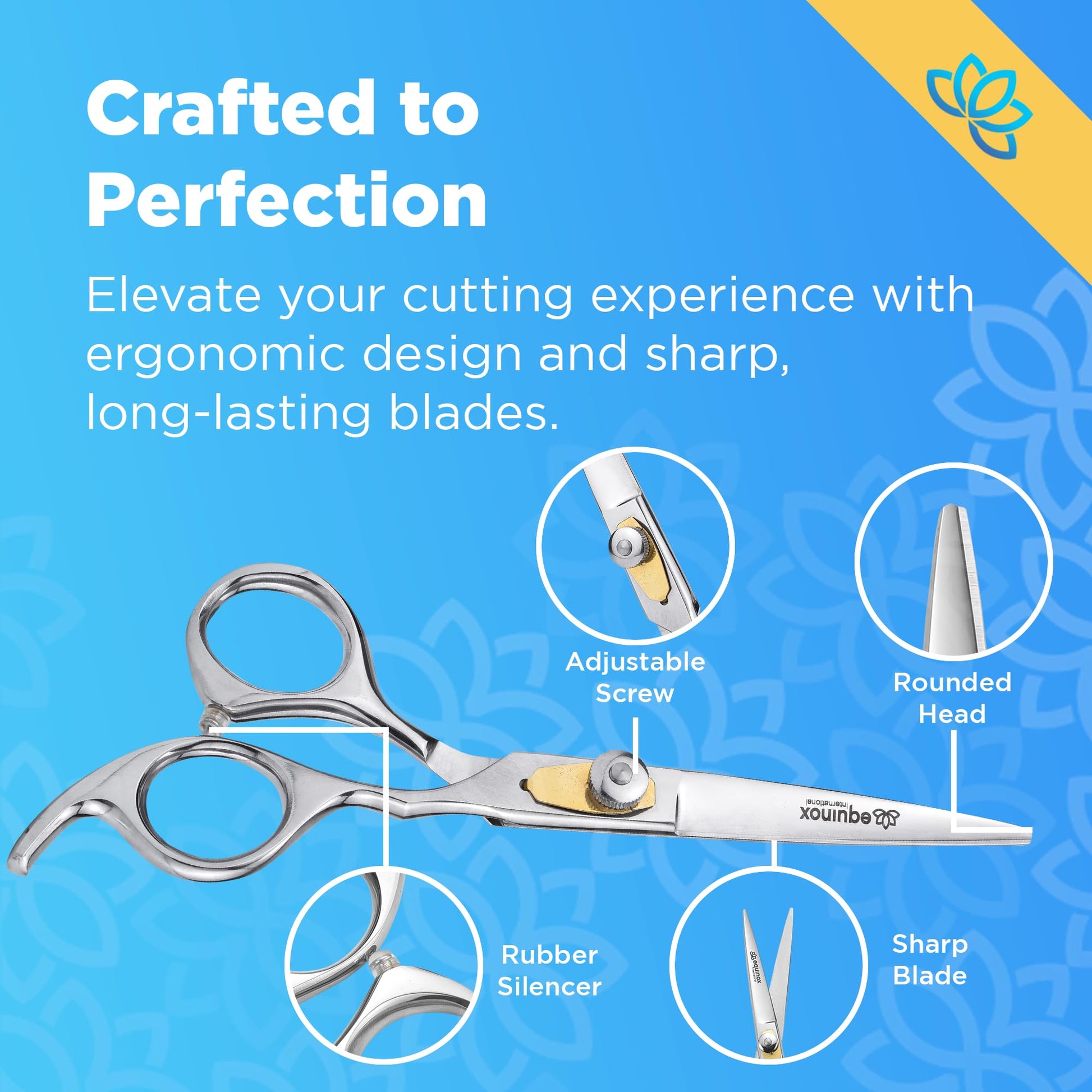 Equinox International hair cutting scissors and thinning shears laid out with straight razor and black styling combs