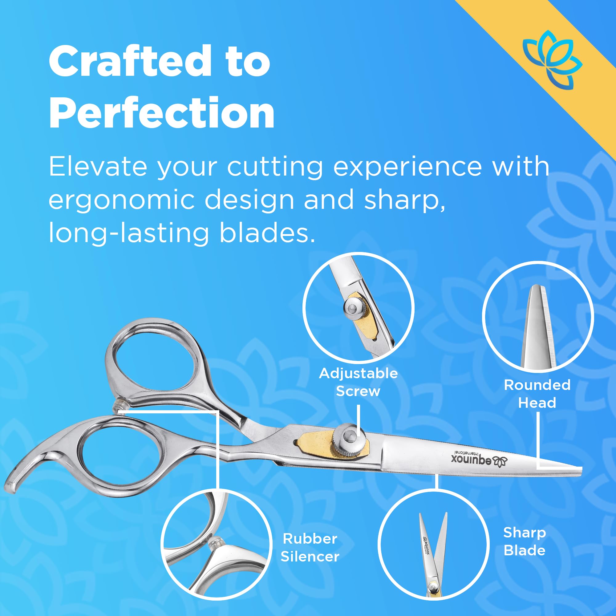 Equinox International hair cutting scissors and thinning shears laid out with straight razor and black styling combs