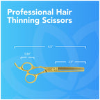 Equinox International Japanese stainless steel thinning shears showing detailed texturizing teeth