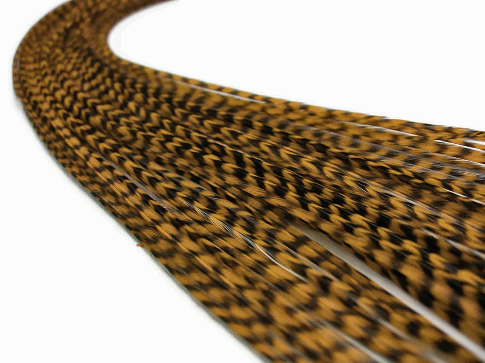 Close up detail of Golden Olive Whiting Farm rooster feathers