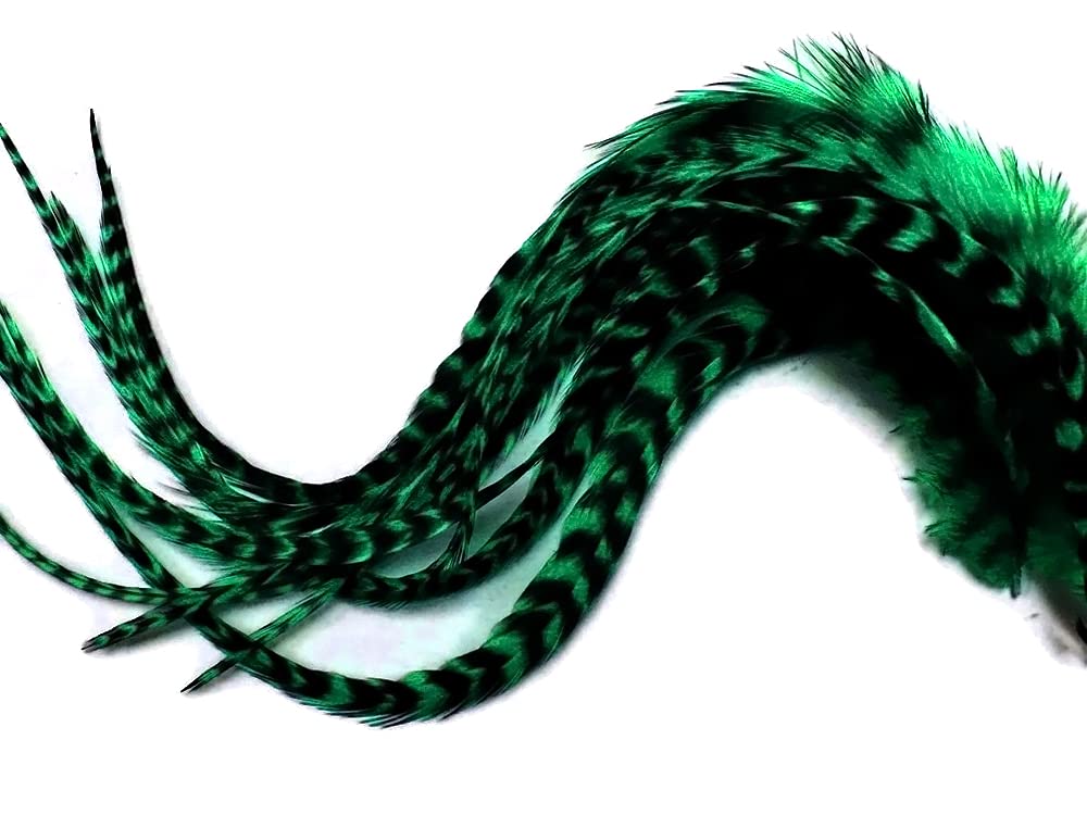 Close up of 6 pieces of Peacock Green Grizzly Rooster hair feathers