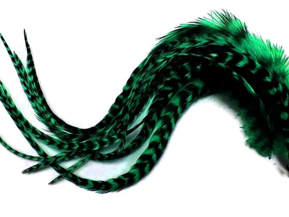Close up of 6 pieces of Peacock Green Grizzly Rooster hair feathers