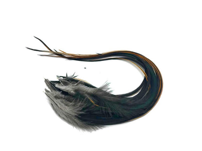 Close up of 6 pieces furnace rooster hair feathers