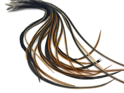 Whiting Farms rooster feathers showing natural furnace pattern