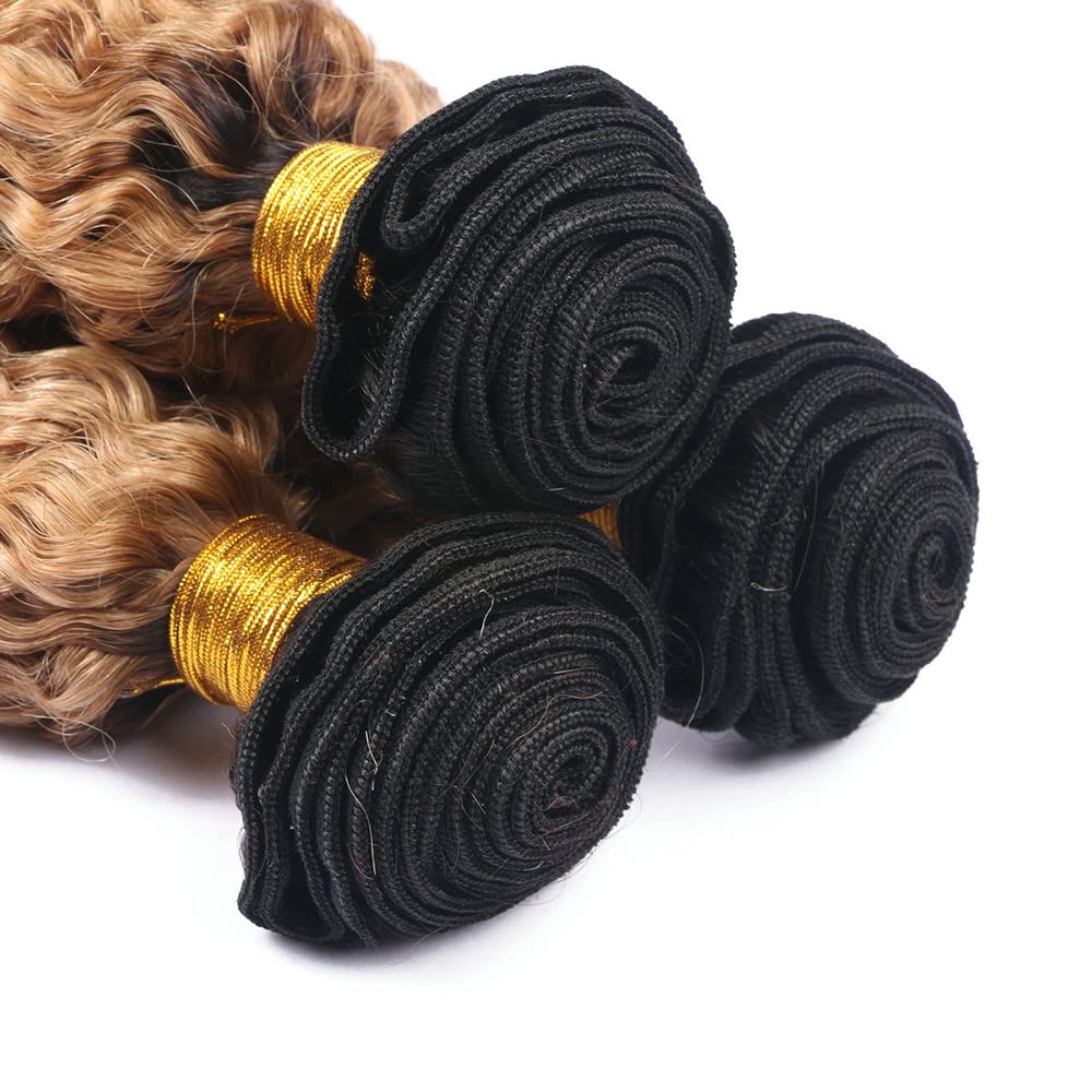 Three pack honey blonde human hair extensions set