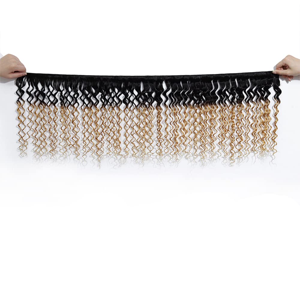 Honey blonde and black ombre human hair weave transition