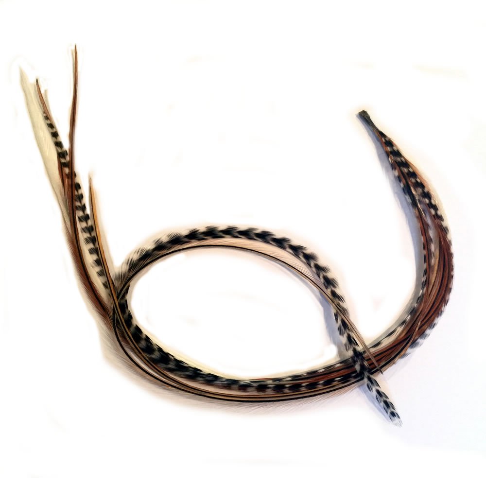 Close up of bonded keratin tip on rainbow feather hair extension