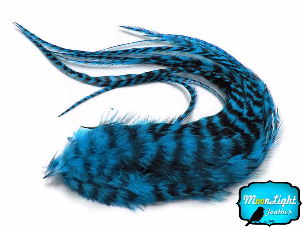 Close up of 6 pieces Turquoise Blue Grizzly rooster feathers for hair