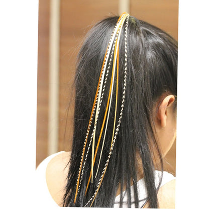 Full contents of Sexy Sparkles feather hair extension kit