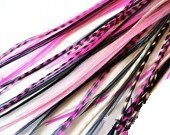 Close up of salon quality rooster feathers for hair extension styling.