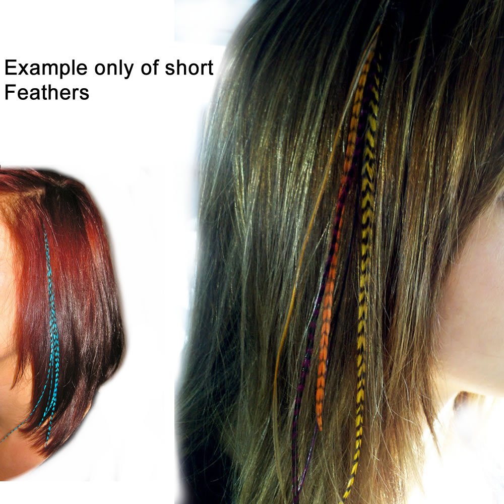 Authentic pink and black feather hair extensions for professional styling.