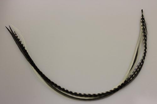 Seven natural rooster feathers in grey black and white