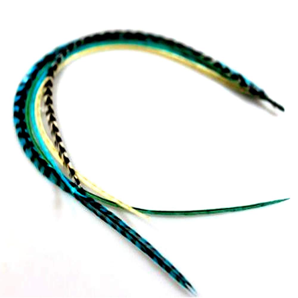 Close up of five bonded turquoise and grizzly hair feathers