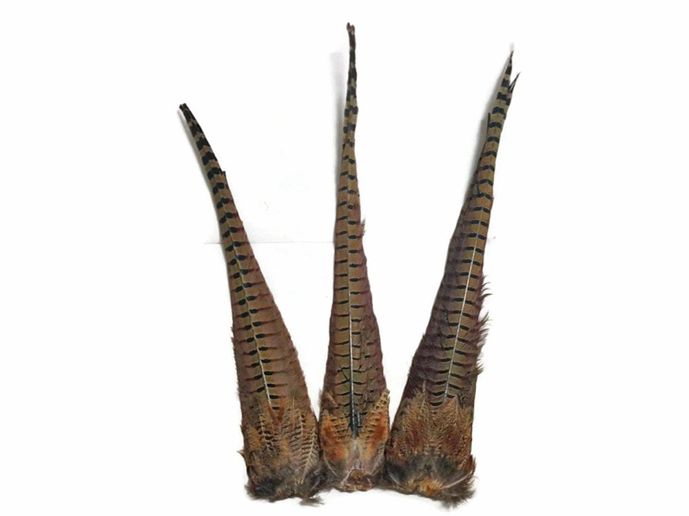 Natural brown Ringneck pheasant feathers for fly tying