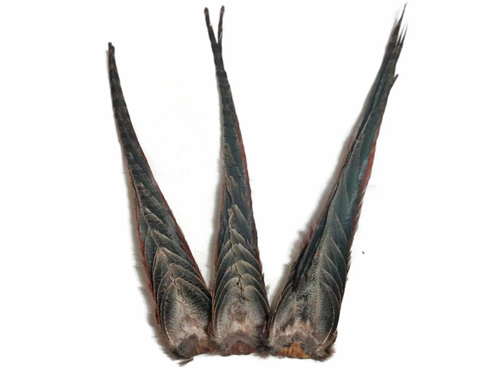 Moonlight Feather natural pheasant tail clump for DIY crafts