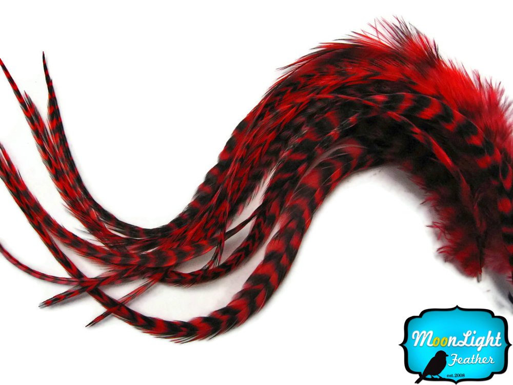 Close up of long red striped rooster hair extension feathers