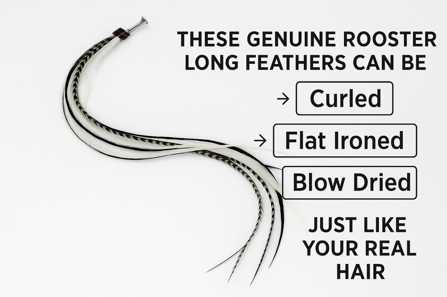 Close up of black and white rooster feather hair extension