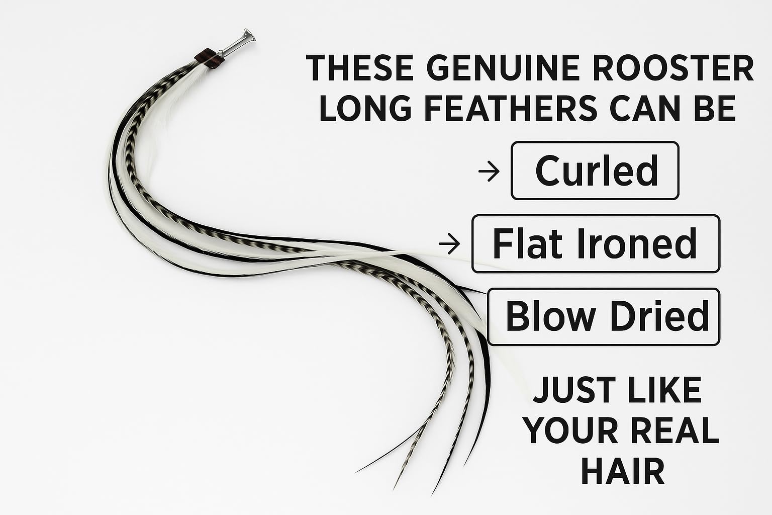 Close up of black and white rooster feather hair extension