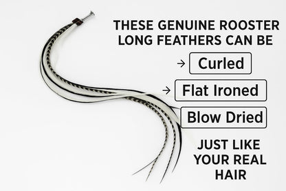 Close up of black and white rooster feather hair extension