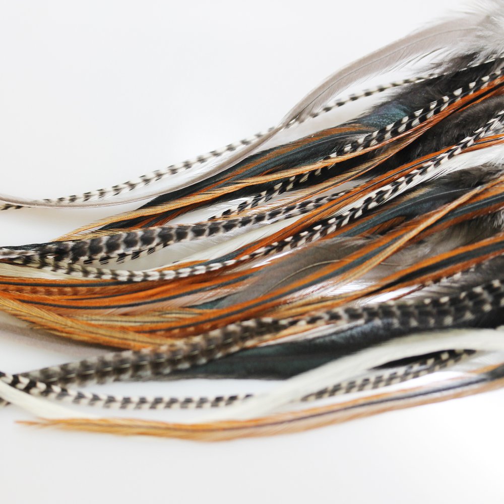 Close up of 25 loose rooster feather hair extensions with micro beads.