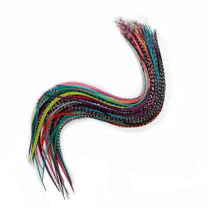 Assorted colors of 7 to 13 inch real rooster hair feathers