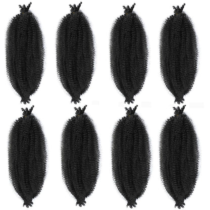 USA imported Celie kinky afro twist extension strands display